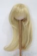 画像1: 9inch/ウィッグ S-25-10-12-203-TO-ZS (1)