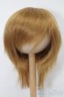 画像1: 7-8inch/ウィッグ S-25-10-12-197-TO-ZS (1)