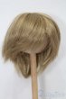 画像1: 7-8inch/ウィッグ S-25-10-12-199-TO-ZS (1)