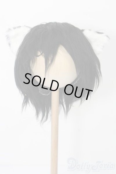 画像1: 9〜10inch/ボアウィッグ S-25-10-12-242-TO-ZS (1)