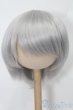画像1: 8-9inch/ウィッグ S-25-10-19-171-TO-ZS (1)