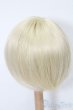 画像2: 7-8inch/ウィッグ S-25-11-09-222-YB-ZS (2)