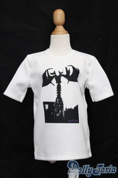 画像1: SD/OF:トップス S-25-10-26-095-TO-ZS (1)