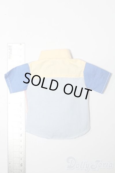 画像2: SDM＆MSD/OF:トップス S-25-11-02-225-TO-ZS (2)