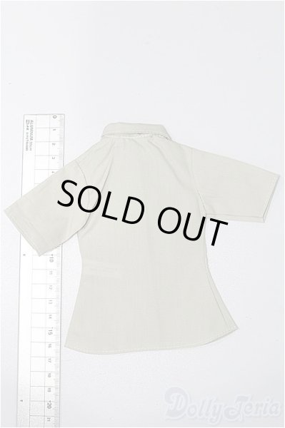 画像2: SDM＆MSD/OF:トップス S-25-11-16-243-TO-ZS (2)