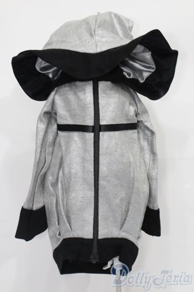 画像1: SD/OF:パーカー S-25-11-02-118-TO-ZS (1)