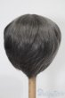 画像2: 7-8inch/ウィッグ S-25-10-26-195-TO-ZS (2)