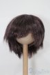 画像1: 6-7inch/ウィッグ S-25-10-26-190-TO-ZS (1)