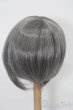 画像2: 7-8inch/ウィッグ S-25-10-26-192-TO-ZS (2)