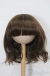 画像1: 7-8inch/ウィッグ S-25-10-26-191-TO-ZS (1)