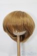 画像1: 8-9inch/ウィッグ S-25-10-26-203-TO-ZS (1)