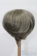 画像2: 8-9inch/ウィッグ S-25-10-26-205-TO-ZS (2)