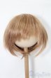 画像1: 8-9inch/ウィッグ S-25-11-02-278-TO-ZS (1)