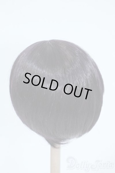 画像2: 8-9inch/ウィッグ Y-25-11-26-120-TO-ZY (2)