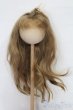 画像1: 9-10inch/ウィッグ S-25-10-26-263-TO-ZS (1)