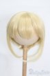 画像1: 9inch/ウィッグ S-25-11-09-130-TO-ZS (1)