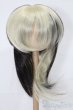 画像1: 8-9inch/ウィッグ S-25-11-16-105-TO-ZS (1)