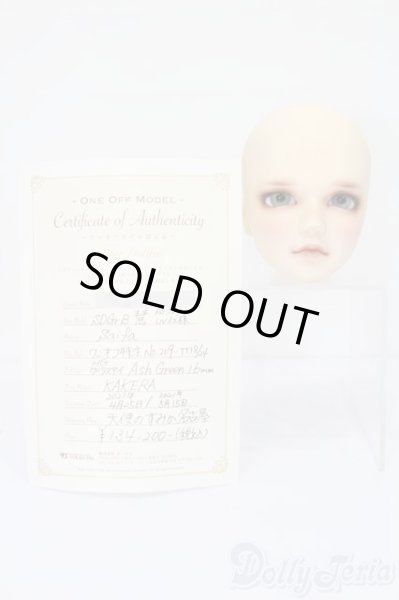 画像5: SDGrB/ワンオフモデル:慧 ヘッドのみ S-25-11-02-280-YB-ZS (5)