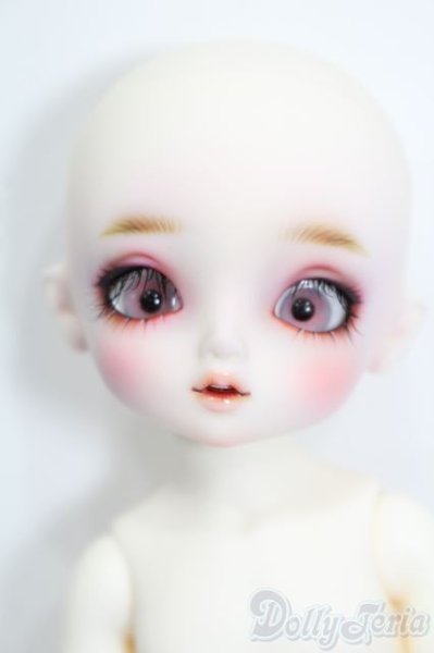 画像1: 幼SD/リーゼロッテ Galerie de l'esprit BONBON Fleur Rose Ver. S-25-11-09-069-YB-ZS (1)