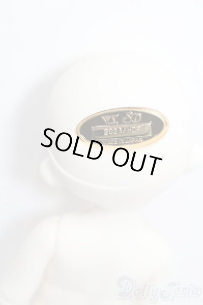 画像4: 幼SD/リーゼロッテ Galerie de l'esprit BONBON Fleur Rose Ver. S-25-11-09-069-YB-ZS (4)