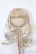 画像1: 8-9inch/ウィッグ S-25-11-09-268-YB-ZS (1)