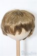 画像1: 8-9inch/ウィッグ S-25-12-07-287-YB-ZS (1)