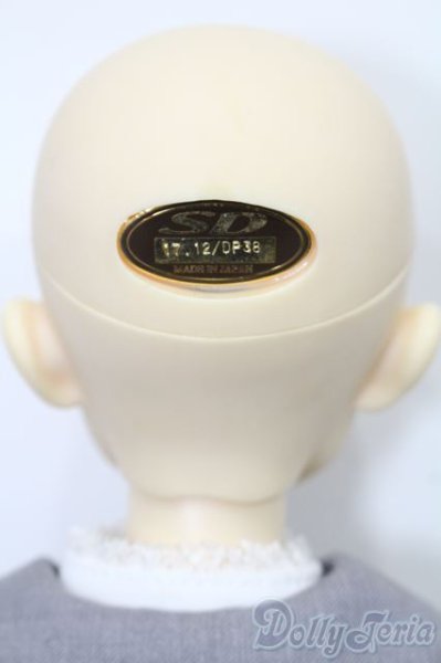 画像6: SDB/ミシェル 星間学寮Ver. S-25-11-09-051-TO-ZS (6)