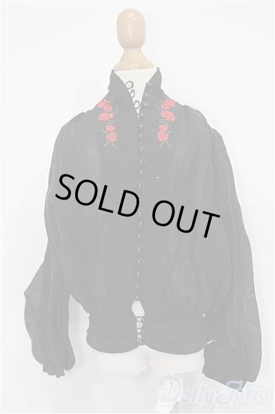 画像1: SD/OF:トップス S-25-11-30-138-TO-ZS (1)