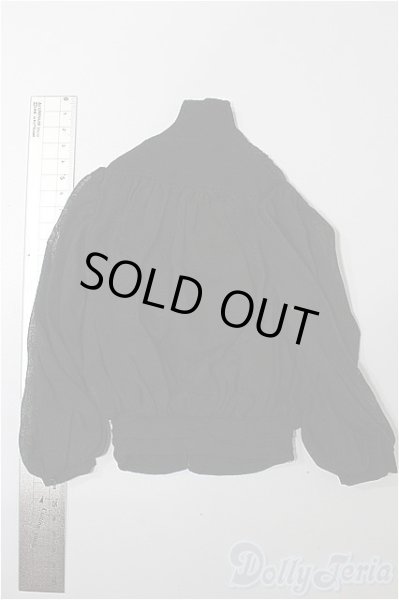 画像2: SD/OF:トップス S-25-11-30-138-TO-ZS (2)