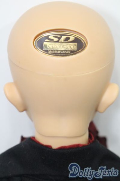 画像5: SD13男の子/ワンオフモデル F-64(LuLuco様メイク) S-25-11-09-052-TO-ZS (5)