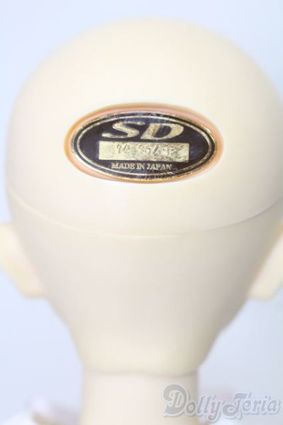 画像5: SD女の子/スタンダードモデル:ちよ S-25-11-09-202-TO-ZS (5)