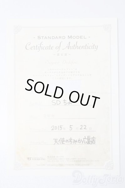 画像8: SD女の子/スタンダードモデル:ちよ S-25-11-09-202-TO-ZS (8)