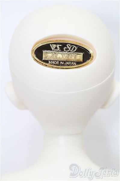 画像4: SDM男の子/フルチョイス F-45 S-25-11-23-053-TO-ZS (4)