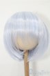 画像1: 8-9inch/ウィッグ S-25-11-16-106-TO-ZS (1)