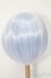 画像2: 8-9inch/ウィッグ S-25-11-16-106-TO-ZS (2)