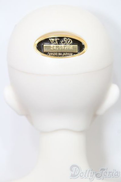 画像4: SD女の子/フルチョイス F-63 S-25-11-16-052-TO-ZS (4)