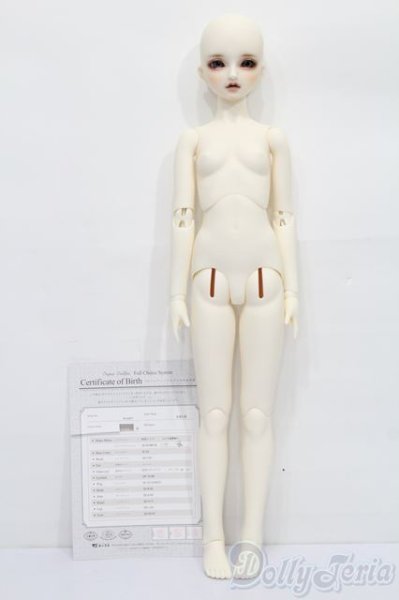 画像5: SD女の子/フルチョイス F-63 S-25-11-16-052-TO-ZS (5)