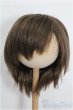 画像1: 8-9inch/ウィッグ S-25-12-28-349-TO-ZS (1)