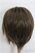 画像3: 8-9inch/ウィッグ S-25-12-28-349-TO-ZS (3)