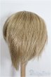 画像2: 8-9inch/ウィッグ S-25-12-28-350-TO-ZS (2)