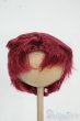 画像1: 8-9inch/ウィッグ Y-25-12-10-070-TO-ZY (1)