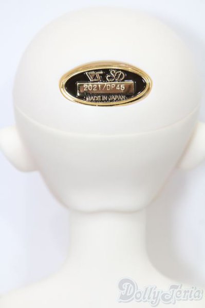 画像5: SD女の子/リーゼロッテ Galerie de l'esprit 2021 秋冬Ver. S-25-11-16-051-TO-ZS (5)