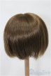 画像2: 9inch/ウィッグ S-25-11-16-299-TO-ZS (2)