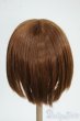 画像2: 8-9inch/ウィッグ Y-25-12-10-085-TO-ZY (2)