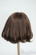 画像2: 8-9inch/ウィッグ Y-25-12-10-086-TO-ZY (2)