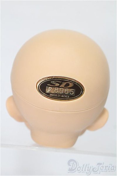 画像4: SD/フルチョイスヘッド F-40 S-25-11-16-259-TO-ZS (4)