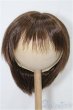 画像1: 8-9inch/ウィッグ S-25-12-07-286-TO-ZS (1)