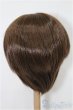画像2: 8-9inch/ウィッグ S-25-12-07-286-TO-ZS (2)