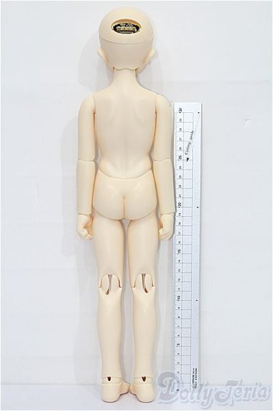 画像6: SDM女の子フルチョイスF-50 S-25-12-07-051-YB-ZS (6)