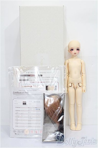 画像7: SDM女の子フルチョイスF-50 S-25-12-07-051-YB-ZS (7)